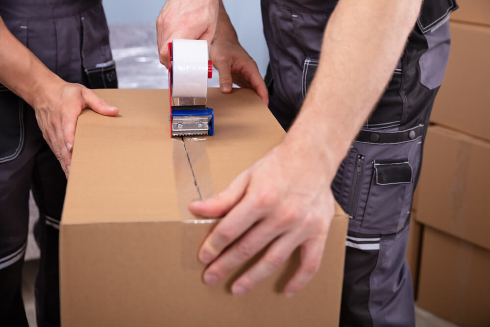 Professional Moving Services Vista